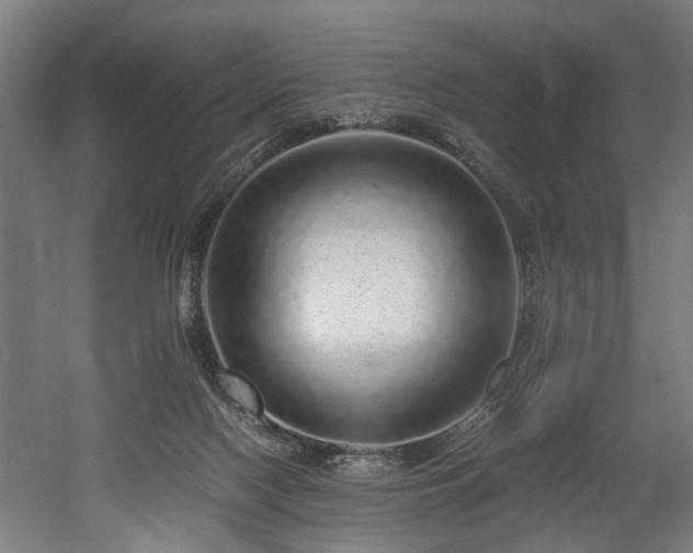X0000052600074200507011207