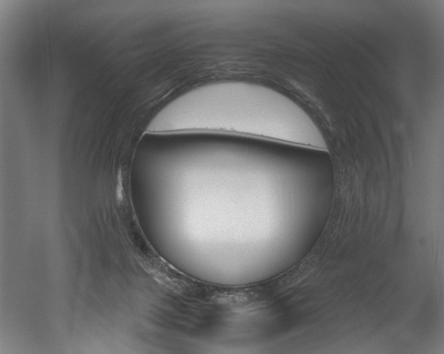X0000052600075200507011208