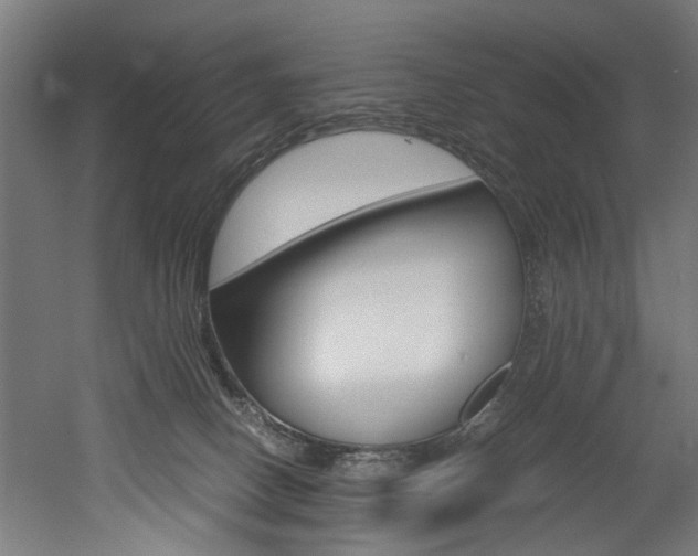 X0000052600082200507011208