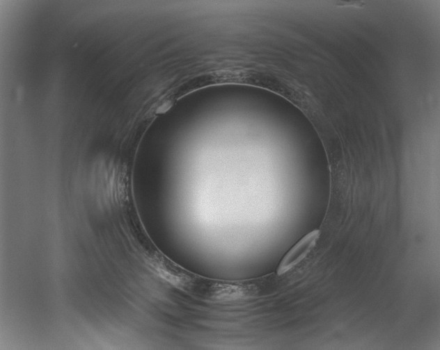 X0000052600083200507011208