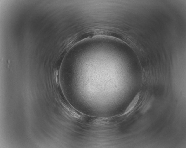 X0000052600094200507011208