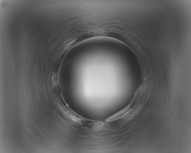 X0000052600096200507011208