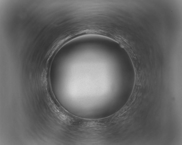 X0000052600098200507011207