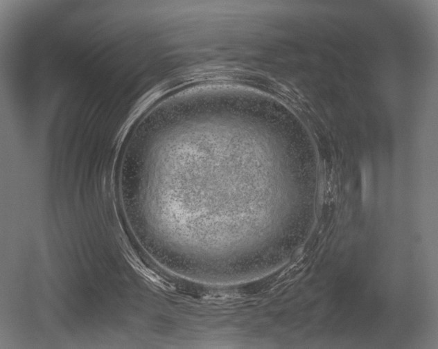 X0000052600099200507011207