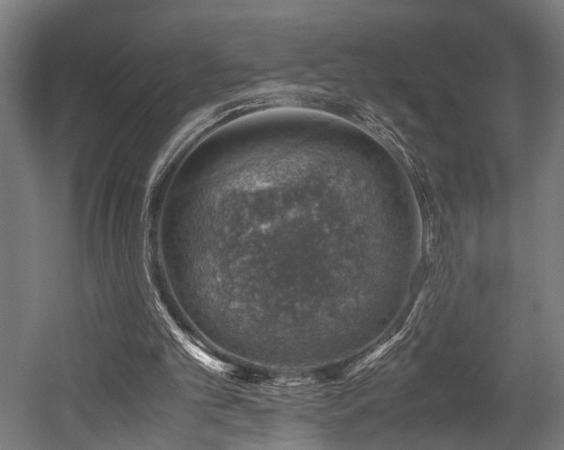 X0000052600101200507011207