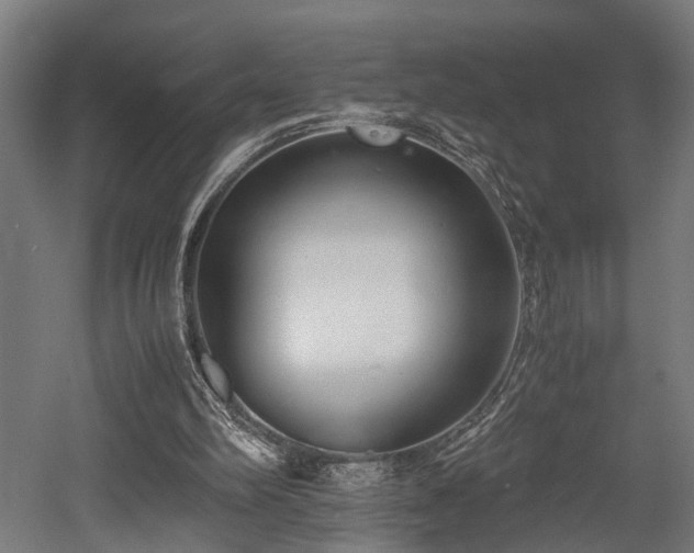 X0000052600102200507011207