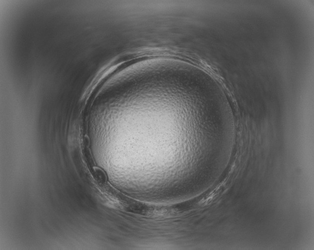 X0000052600103200507011207