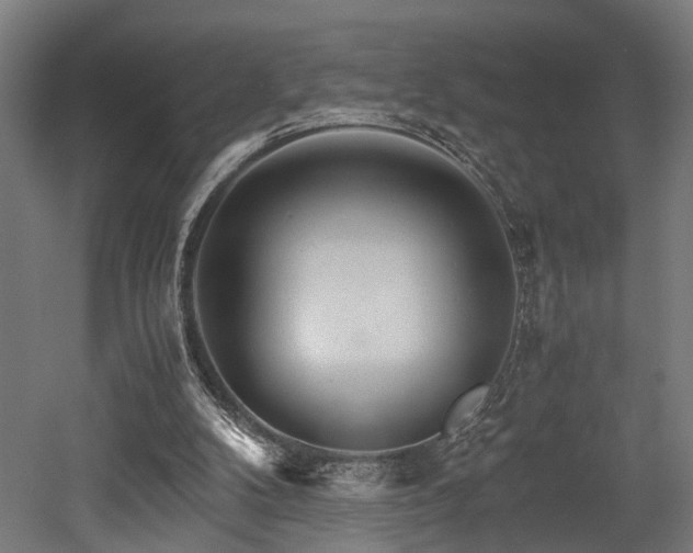 X0000052600104200507011207