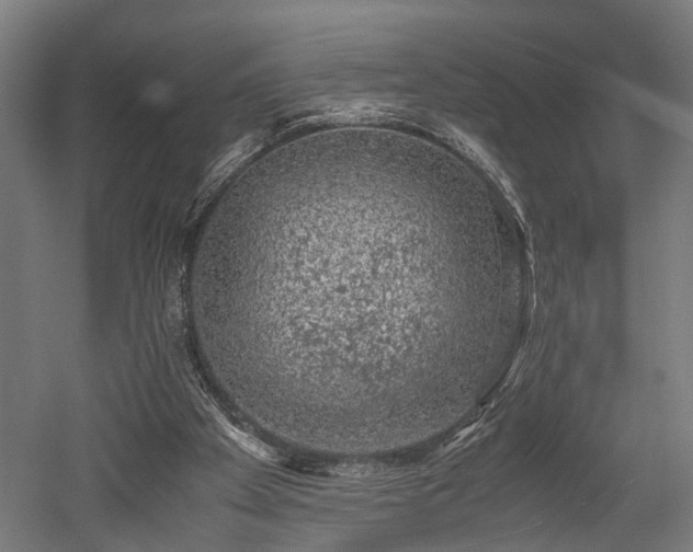 X0000052600105200507011207