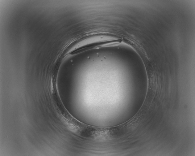 X0000052600110200507011207