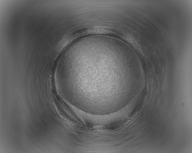 X0000052600111200507011207