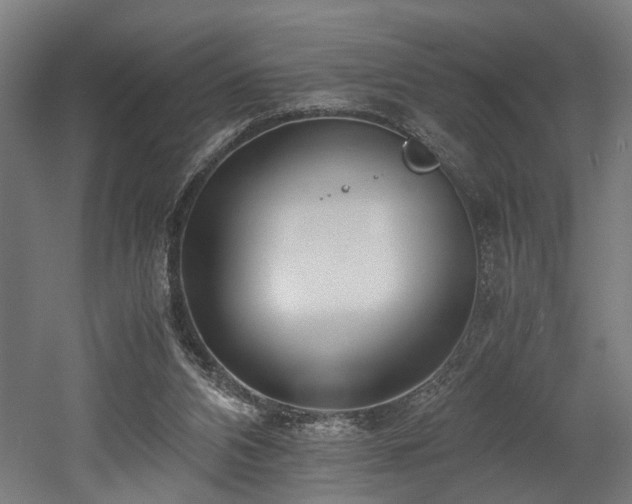 X0000052600112200507011207