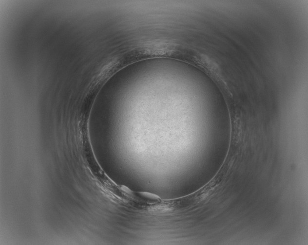 X0000052600114200507011207