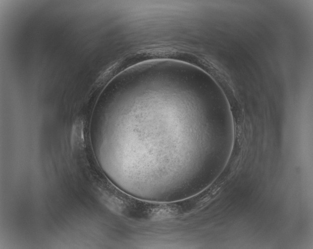 X0000052600115200507011207