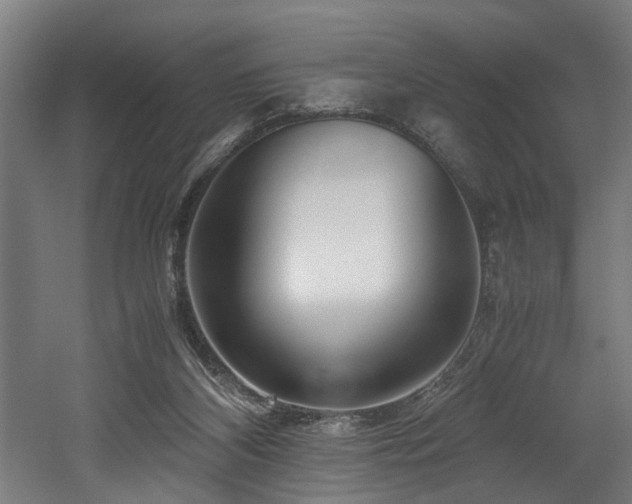 X0000052600116200507011207