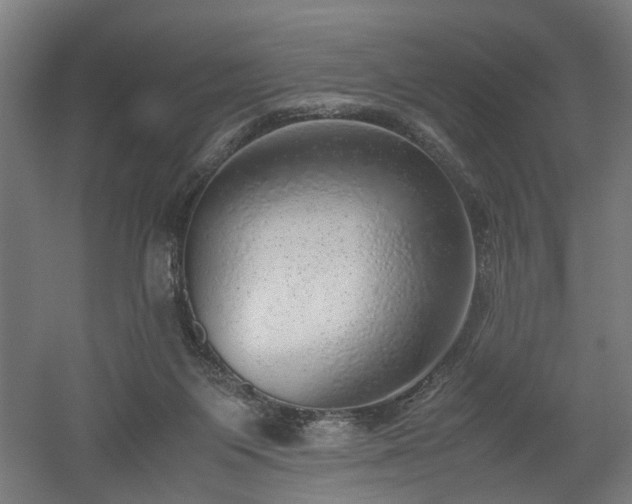 X0000052600119200507011207
