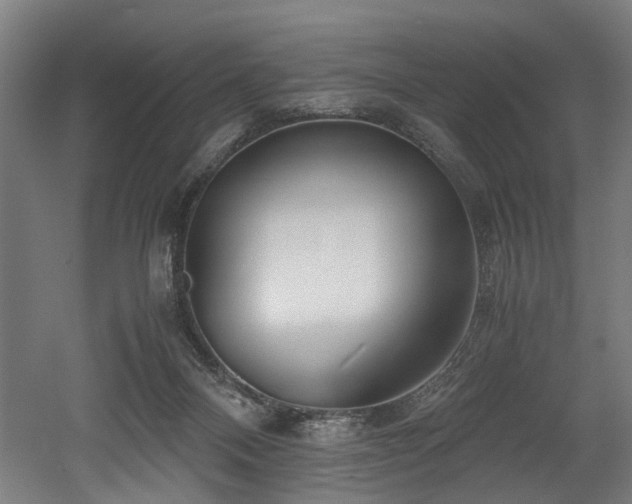 X0000052600120200507011207