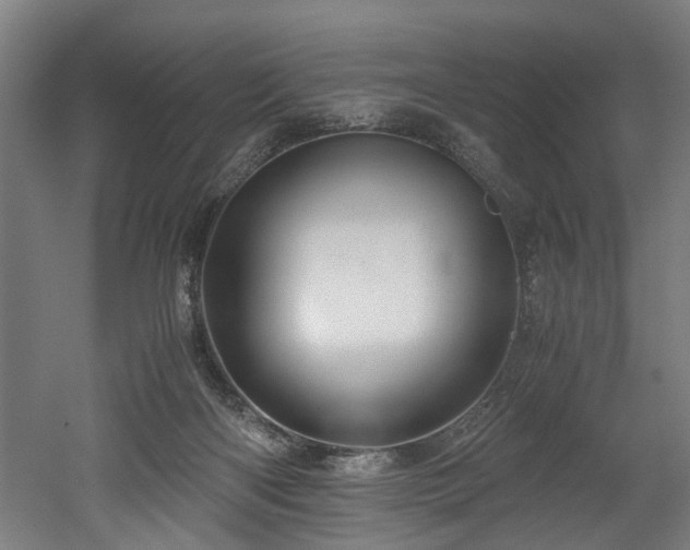 X0000052600122200507011207