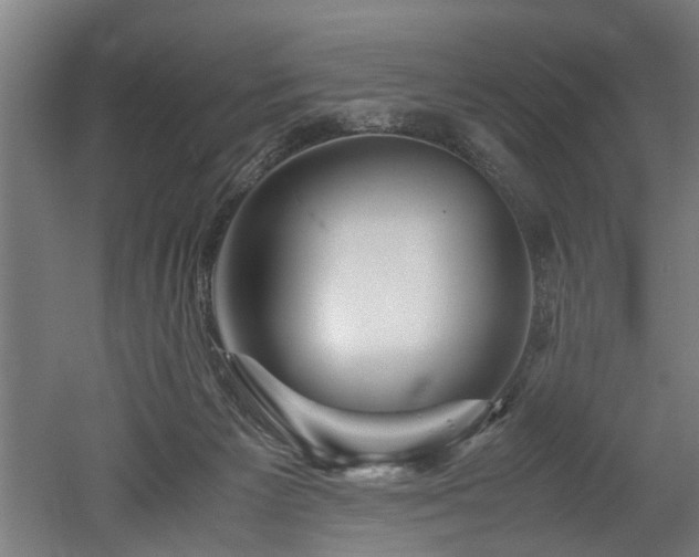 X0000052600125200507011207