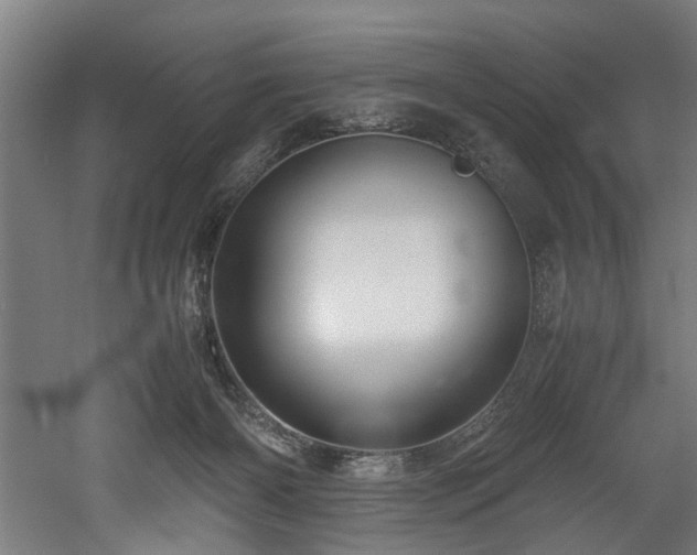 X0000052600126200507011207