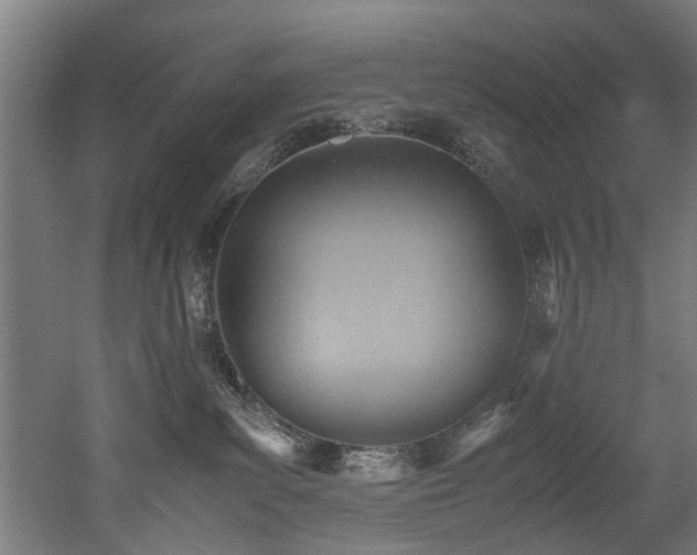 X0000052600139200507011206
