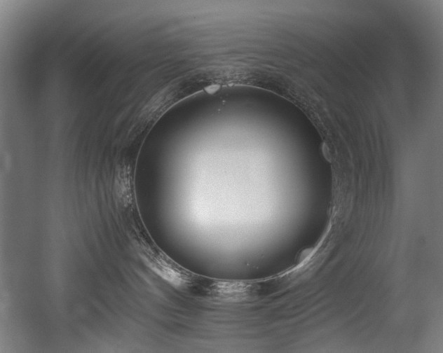 X0000052600144200507011206