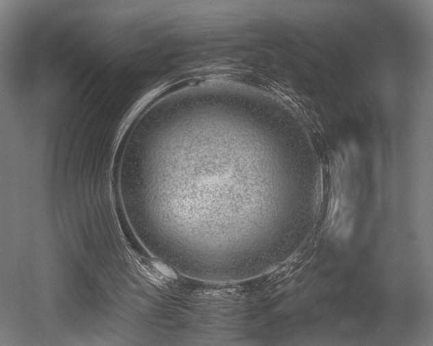 X0000052600147200507011205