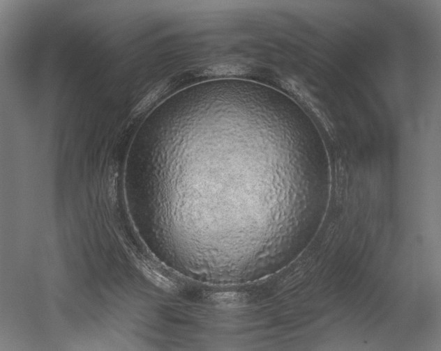 X0000052600153200507011206