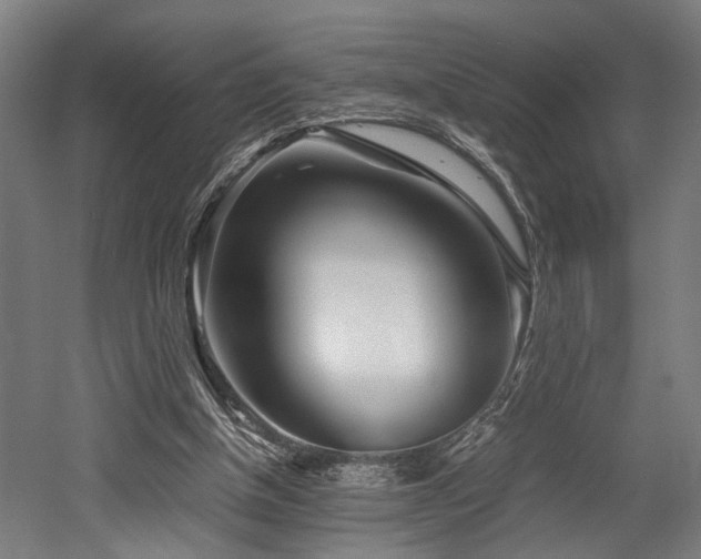 X0000052600154200507011206