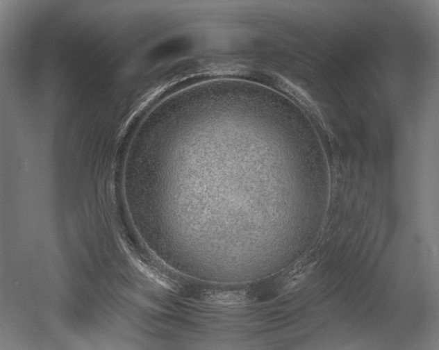 X0000052600155200507011206