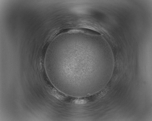 X0000052600169200507011206