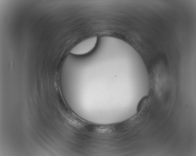 X0000052600175200507011206