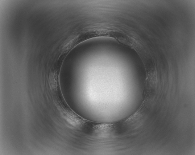 X0000052600184200507011206