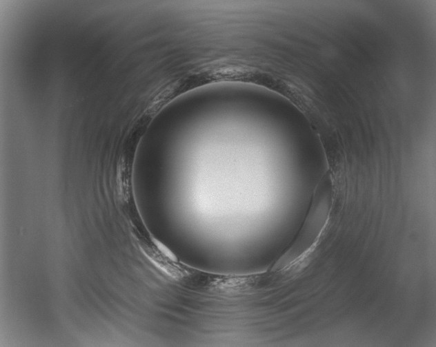 X0000052600186200507011206
