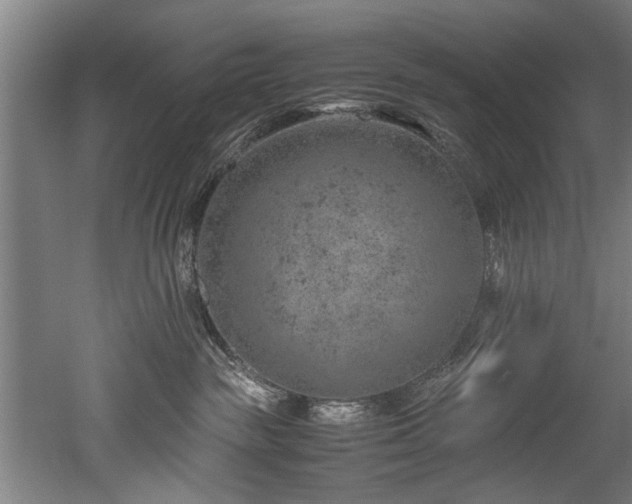 X0000052600189200507011206