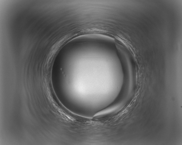 X0000052600193200507011205