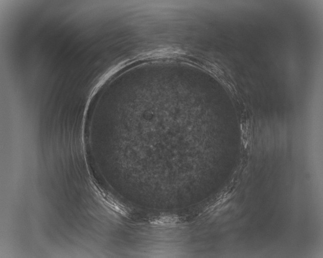 X0000052600196200507011205
