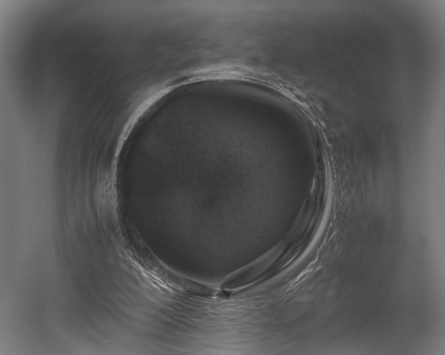 X0000052600200200507011205