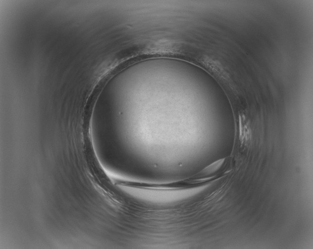 X0000052600204200507011205