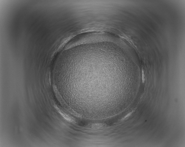 X0000052600205200507011205