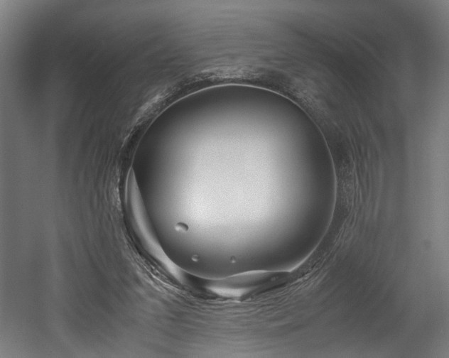 X0000052600207200507011205