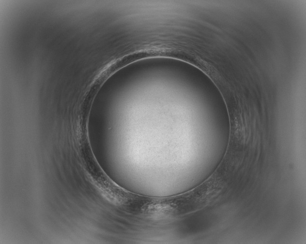 X0000052600208200507011205