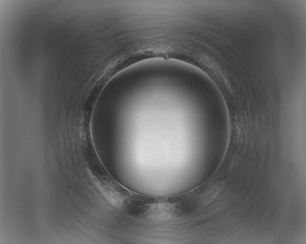 X0000052600212200507011205