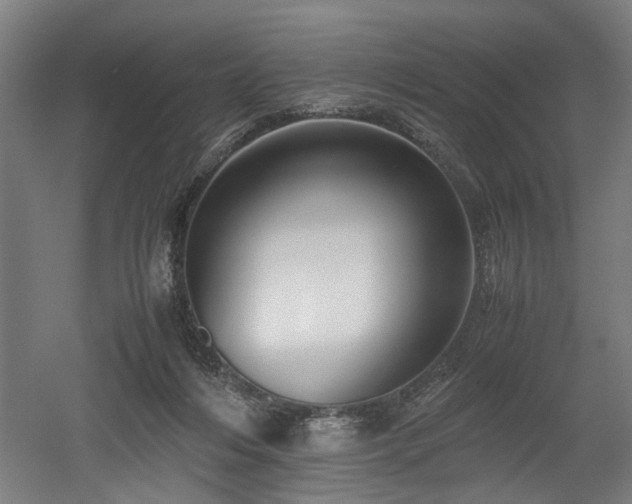 X0000052600216200507011205