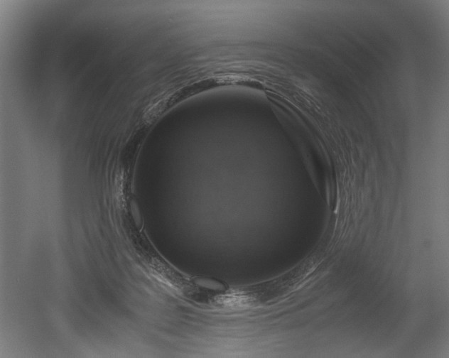 X0000052600219200507011205