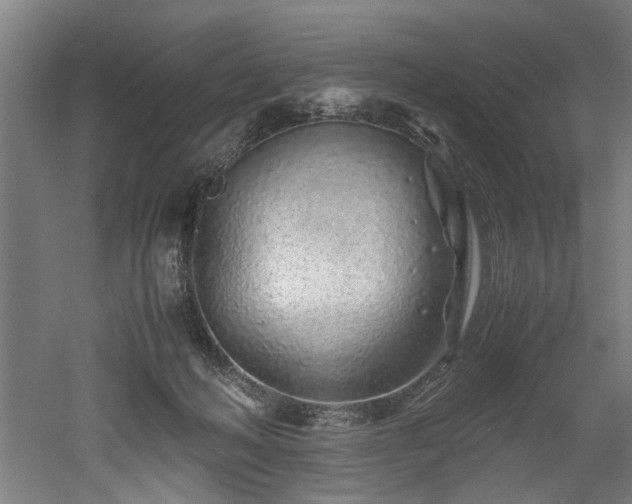 X0000052600222200507011205