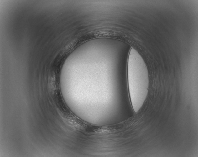 X0000052600224200507011205