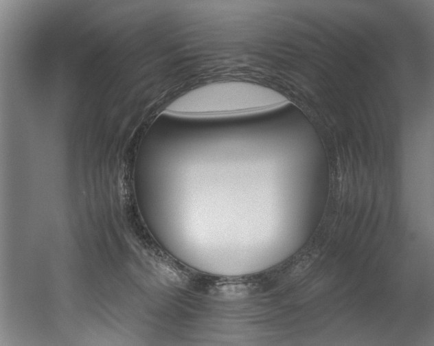 X0000052600228200507011205