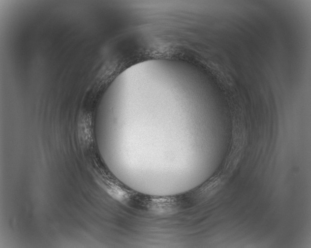 X0000052600240200507011205