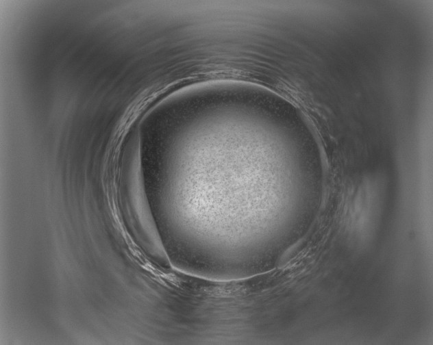 X0000052600241200507011204